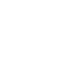 Veam Logo